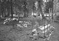 Stony River Cemetery